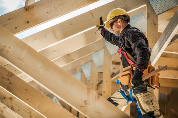 Best Roof Gutter Cleaning  in Alderson, WV