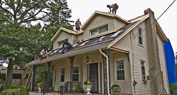 Best Commercial Roof Installation  in Alderson, WV