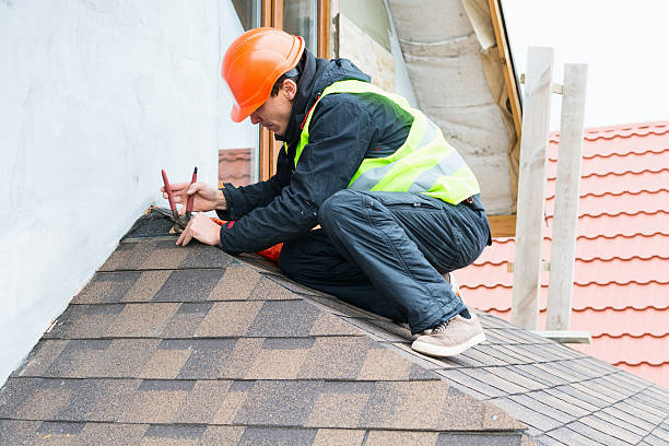 Best Roof Waterproofing Services  in Alderson, WV