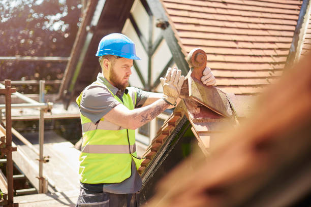 Best Metal Roofing Contractor  in Alderson, WV